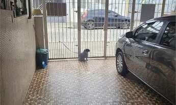 Imagem 4: SOBRADÃO NA VILA GALVÃO PROX DO COMERCIAL ESPERANÇA