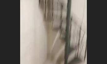 Imagem 4: Casa para Alugar Centro Diadema