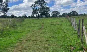 Imagem 6: Fazenda 100 Alqueires Região De Aparecida Do Taboado/MS