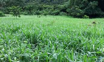 Imagem 5: . Uma Fazenda 307 Alqueires município de Monte do Carmo Tocan