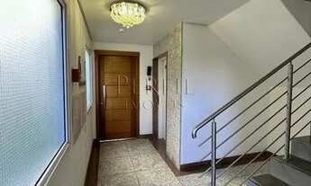 Imagem 6: PORTO ALEGRE - Padrão - Rio Branco