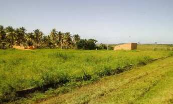 Imagem 6: Terreno Marechal