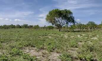 Imagem 4: Vendo Terreno localizado no Carneiro em Buíque