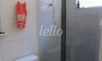 Imagem 7: São Paulo - Casa Padrão - Vila Ivone