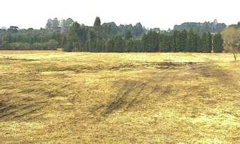 Imagem 4: Área de 21.040m2 no Campo Largo da Roseira