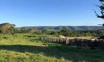 Imagem 3: . Uma Fazenda 307 Alqueires município de Monte do Carmo Tocan