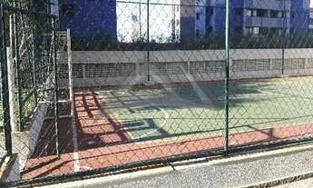 Imagem 7: Apartamento - Chácara Primavera - Campinas