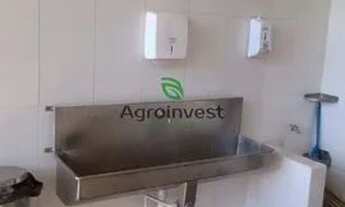 Imagem 3: Abatedouro em Pires do Rio-GO