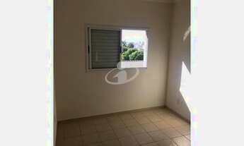 Imagem 5: Aluguel Apartamento SANTA MONICA