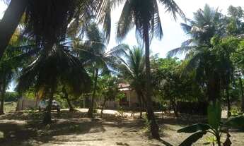 Imagem 6: Casa Em Moitas. 1HVH624