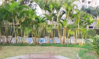 Imagem 6: Apartamento com 3 dorms, Paraíso do Morumbi, São Paulo - R$ 430 mil, Cod: 4144