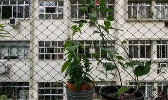 Imagem 6: Apartamento para Aluguel - Humaitá, 2 Quartos, 72 m2