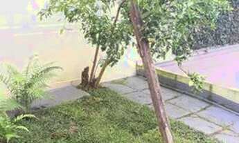 Imagem 7: ALUGA-SE CASA MOSSUNGUÊ/ECOVILLE 90m²