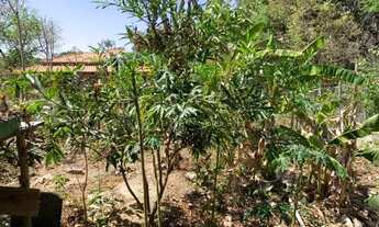 Imagem 5: Sitio 1060m² em chacreamento possuiu portão eletrônico, Jaboticatubas. Jaboticatubas