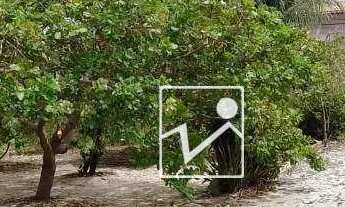 Imagem 7: Terreno, 1990 m² - venda por R$ 3.500.000,00 ou aluguel por R$ 11.497,88/mês - Papicu - Fo