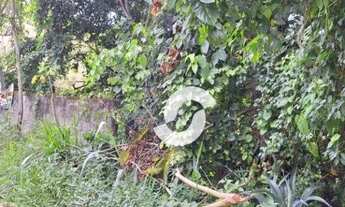 Imagem 5: Terreno em excelente localização no Jardim America