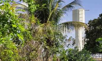 Imagem: Sítio a 2 km da cidade de Tanabi, com 2.5