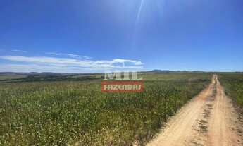 Imagem 2: Fazenda em Pires do Rio - GO. 115 Alqueires