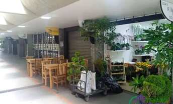 Imagem 4: LOJA - BELA VISTA - SP