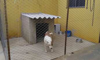 Imagem: Venda de casa