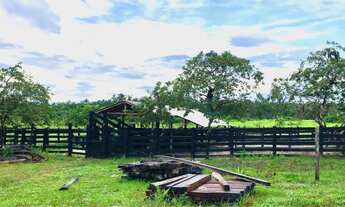 Imagem 3: ÁREA PARA PECUÁRIA-ALTO ALEGRE