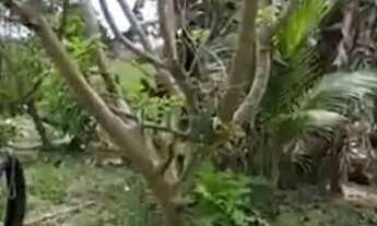 Imagem 15: CASA A VENDA ( aceito troca em carro