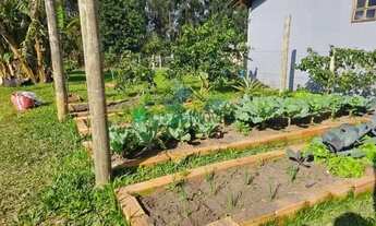 Imagem 6: Oportunidade! Casa à 500 metros do asfalto em Águas Claras!