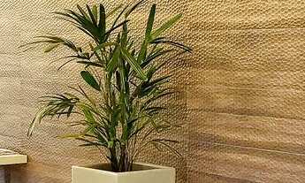 Imagem 2: Wish Coimbra Apto A Venda 3/4 Sendo Uma Suíte, 2 garagens, área de Lazer, Novo