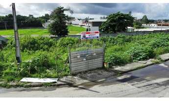 Imagem: Terreno Comercial Promissor em Alagoinhas