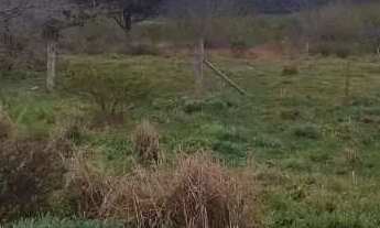 Imagem 3: Sítio à venda, Itapuã - Viamão/RS