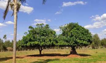 Imagem 2: Sítio a 2 km da cidade de Tanabi, com 2.5 alqueires (60.500m²), com casa, curral, tanque d