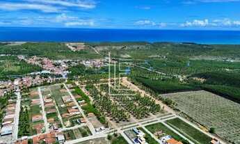 Imagem 4: Lotes próximos ao Mirante do Gunga e praia da Barra de São Miguel - Mirantes de Jequiá