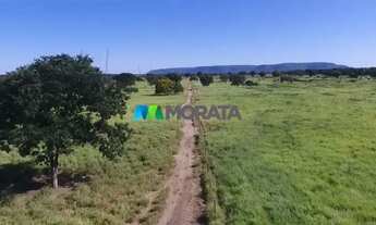 Imagem 3: FAZENDA À VENDA - 2.500 HECTARES - JAÍBA (MG