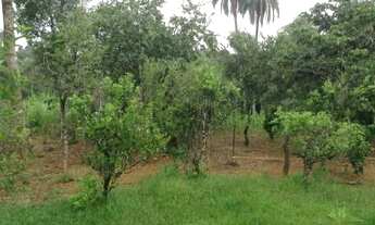 Imagem 7: Sitio 22.000m² com 2 casas, área gourmet externa c/ dormitório, dispensa, piscina, córrego