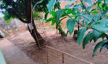 Imagem 6: Casa - Distrito de Iguatemi ( Maringá