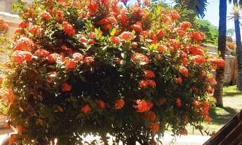 Imagem 7: Casa na praia de Tucuns em Buzios