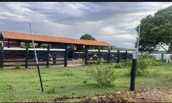 Imagem 3: FAZENDA À VENDA OPORTUNIDADE IMPERDÍVEL