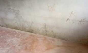 Imagem 3: Kitnet Kitnet com 1 dormitório