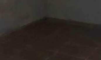 Imagem 4: VENDO CASA EM MARIANTE/VENÂNCIO AIRES RS