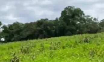 Imagem: Lotes para moradia no interior de SP