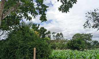 Imagem 7: Vende-se uma chácara