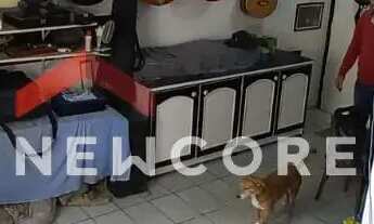 Imagem 5: Apartamento em Rua Professora Sofia Quint de Souza - Capoeiras - Florianópolis/SC