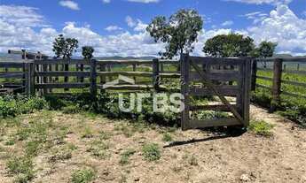 Imagem 6: Fazenda Campinaçu