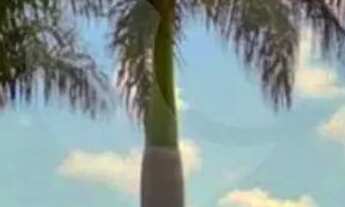 Imagem 4: Terreno à venda no condomínio Villagio Italia, Sorocaba - SP