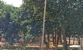 Imagem: Lote em Igarapé 232m² Plano com Água