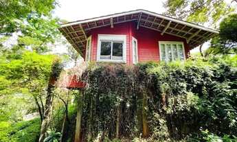 Imagem: Casa estilo cabana imersa à mata, rodeado