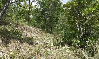 Imagem 4: Chácara com Córrego na rodovia de Chapada dos Guimarães - Só R$120 Mil