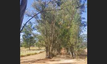 Imagem 4: JAGUARIÚNA - Loteamento/Condomínio - COLINAS DO CASTELO