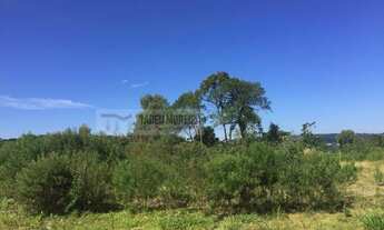 Imagem 6: Terreno para Venda em Vila Dante Canela-RS