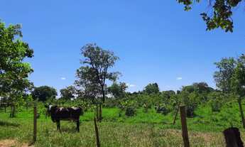 Imagem: Sítio 16 hectares Perto de Três Lagoas